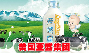 美國亞盛集團