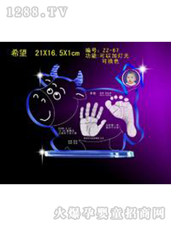 萬(wàn)家興水晶手足印