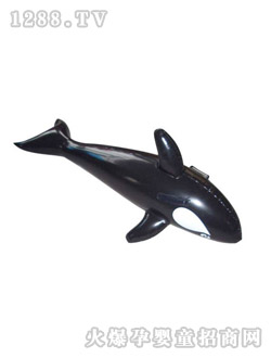 日成鯊魚